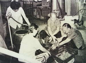 八十年代志莲安老院尝试推行护理服务，提高志莲安老服务素质