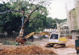 重建工程进行中